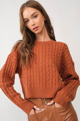 Kendall Cable Knit Crop Sweater Top